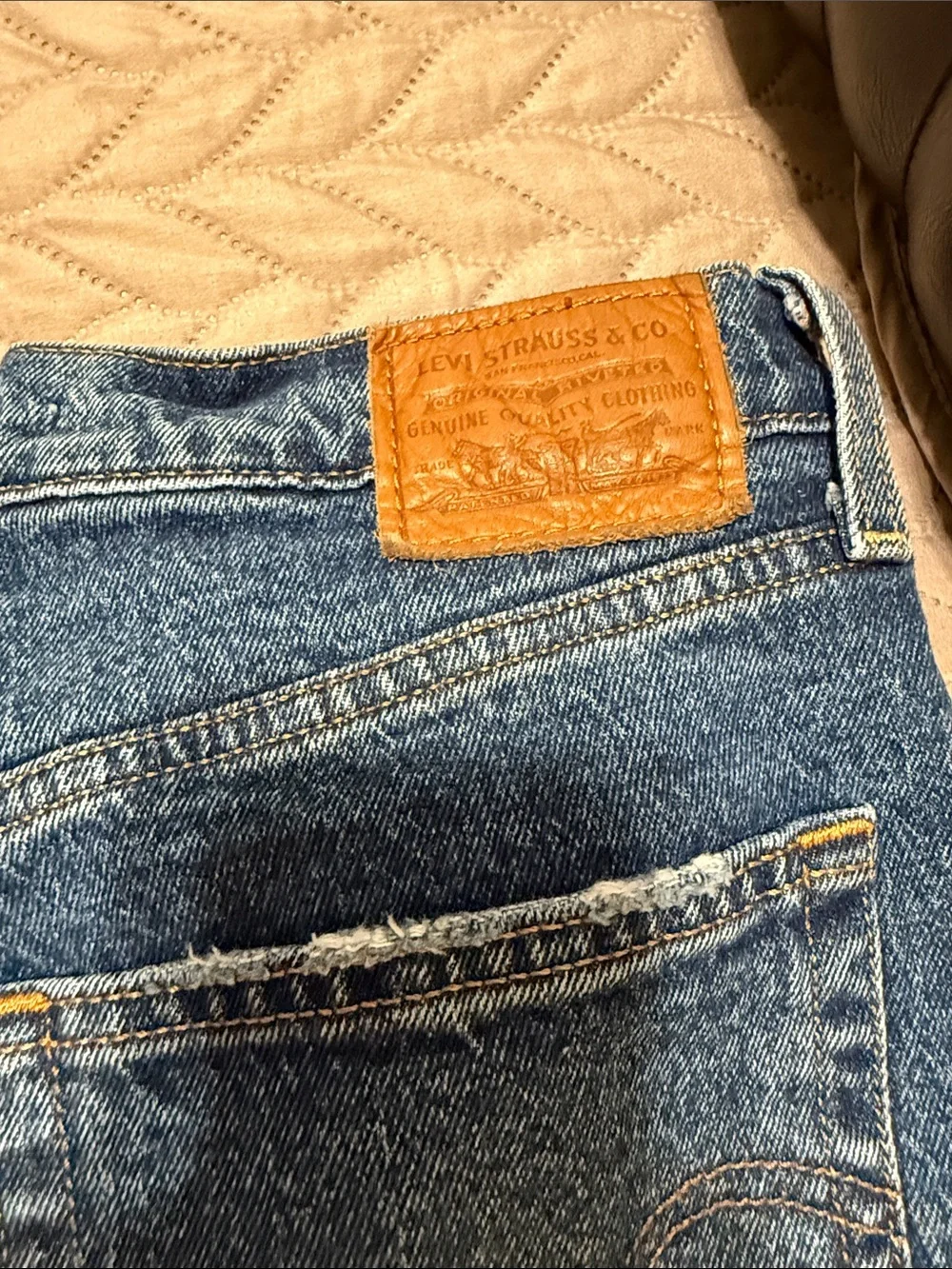 Levis levis ribcage